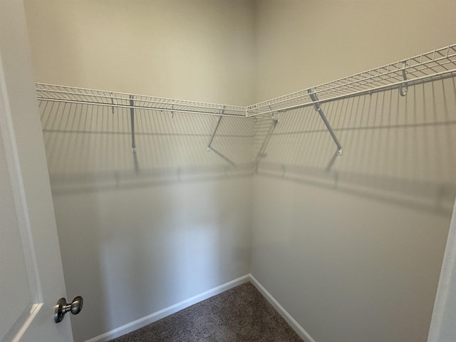 1465 Macedonia, Gaffney, SC 29341 - walk in closet with dark carpet