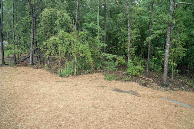 view of woods