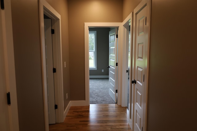 corridor featuring dark hardwood / wood-style floors