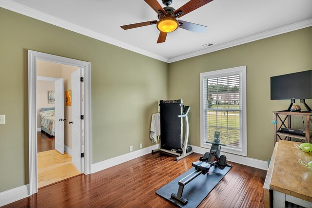 workout room with crown molding, dark wood-type flooring, and ceiling fan