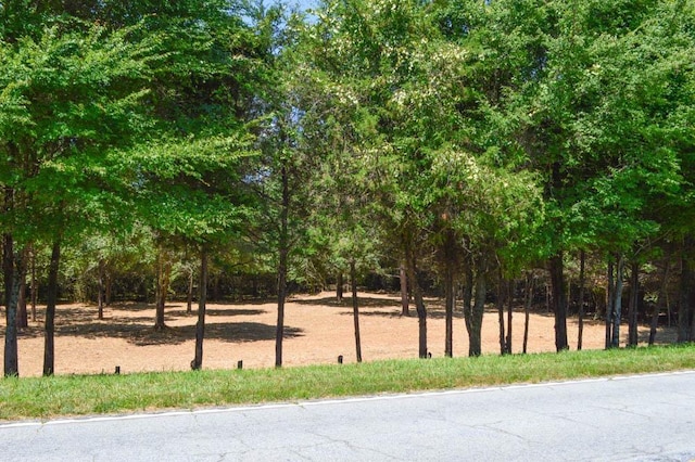 Old Spartanburg Hwy, Pacolet SC, 29372 land for sale