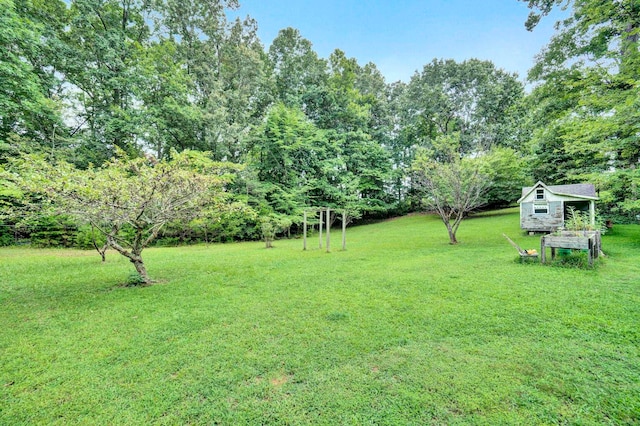 view of yard with a shed