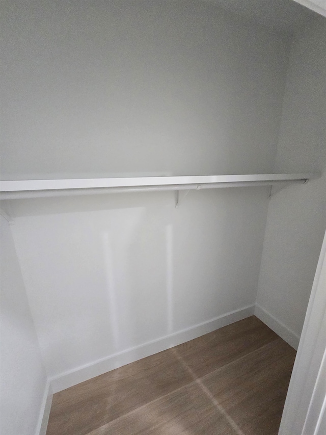 spacious closet featuring dark hardwood / wood-style flooring