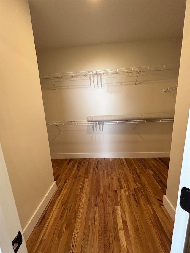 walk in closet with hardwood / wood-style floors