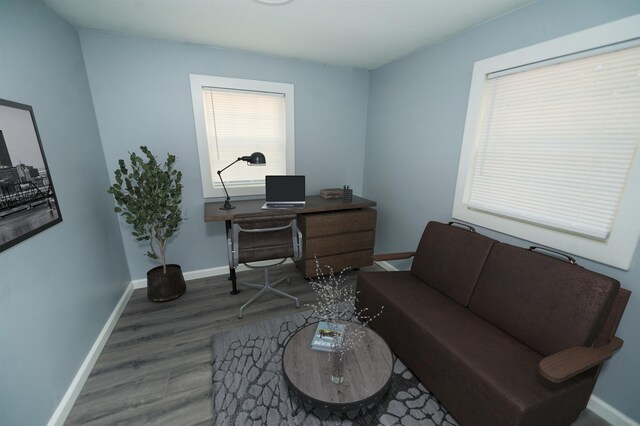 office featuring hardwood / wood-style flooring