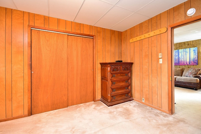 interior space with wood walls and a closet