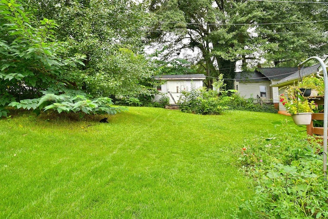 view of yard with a shed