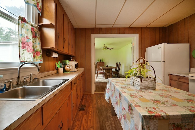 kitchen featuring a wealth of natural light, dark hardwood / wood-style flooring, wood walls, and sink