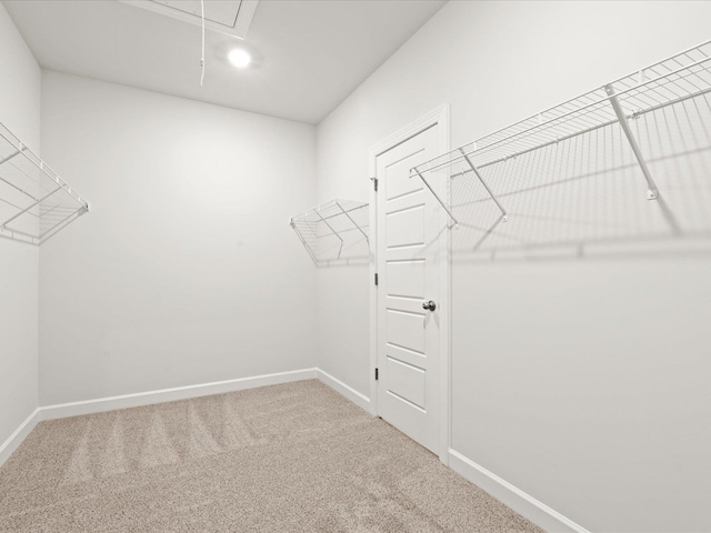 spacious closet with carpet and attic access