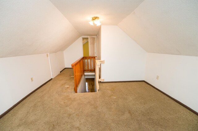 additional living space featuring a textured ceiling, lofted ceiling, and carpet