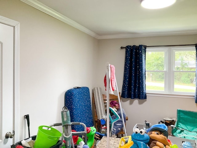 playroom with crown molding