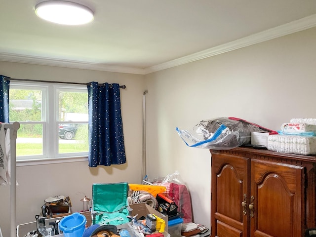 interior space featuring crown molding