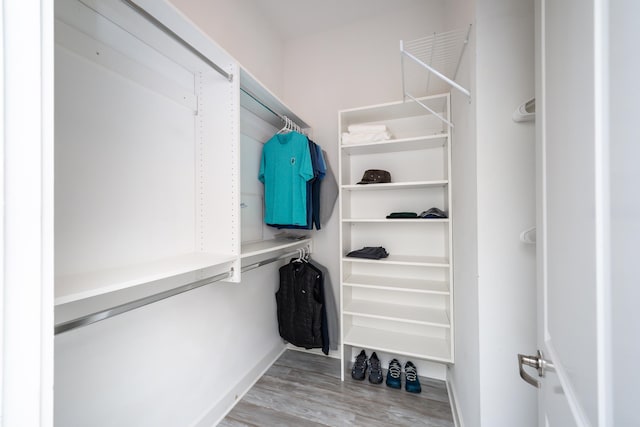 walk in closet with hardwood / wood-style floors