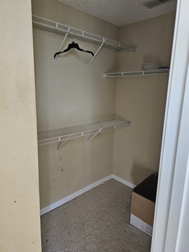 walk in closet featuring carpet flooring