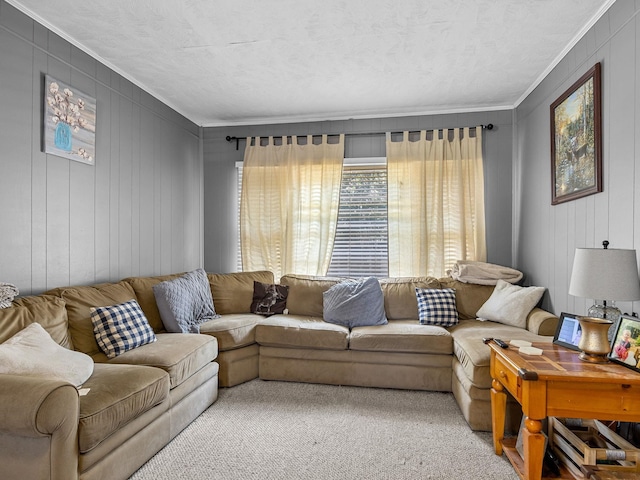 living room with light carpet, a textured ceiling, and crown molding