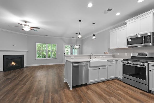 kitchen featuring stainless steel appliances, open floor plan, ornamental molding, and a peninsula