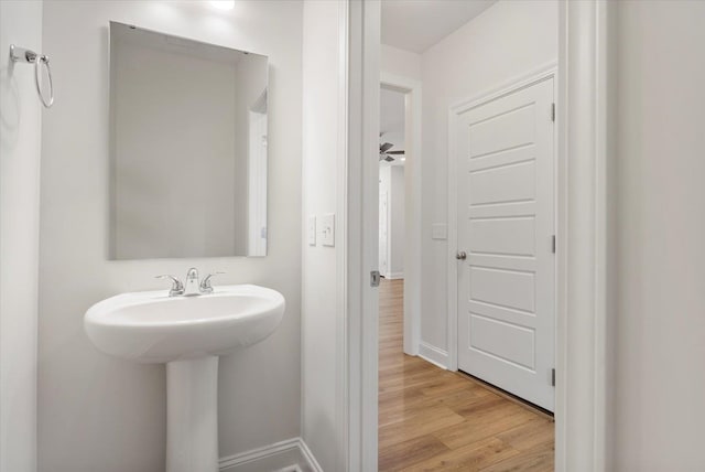 bathroom featuring wood-type flooring