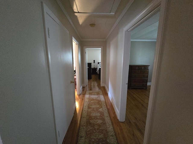 hall featuring wood-type flooring and crown molding