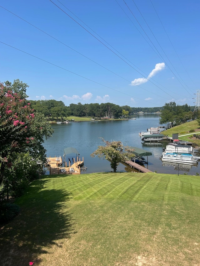 water view featuring a dock