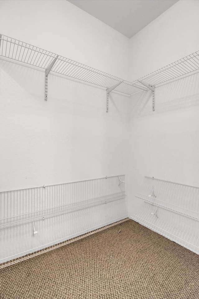 spacious closet with carpet flooring