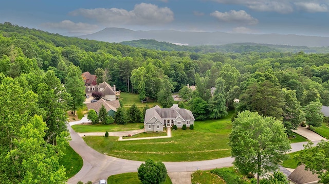 birds eye view of property featuring a mountain view