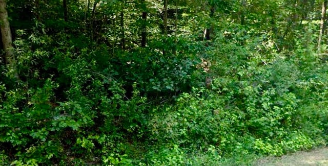 Listing photo 2 for LOT59 Sweetbriar, Westminster SC 29693