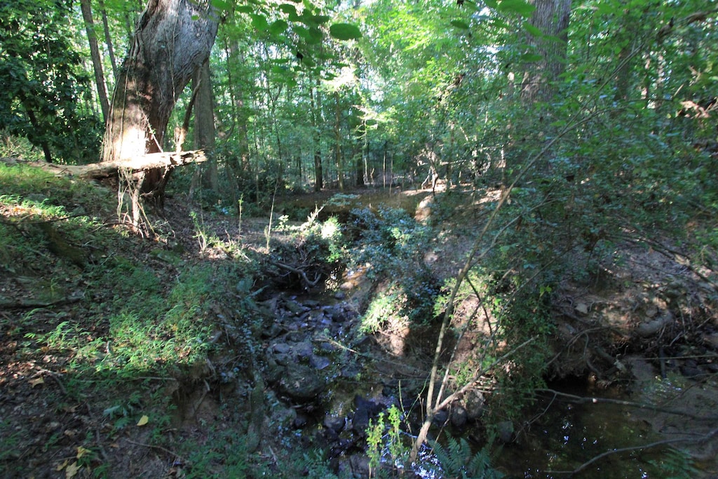 E Hayne, Woodruff, SC 29388