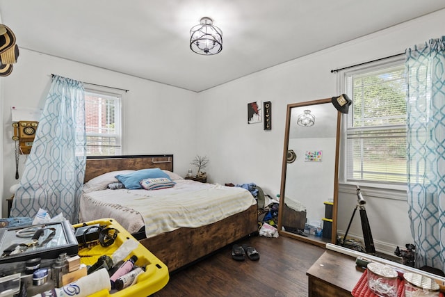 bedroom featuring multiple windows and dark wood-type flooring