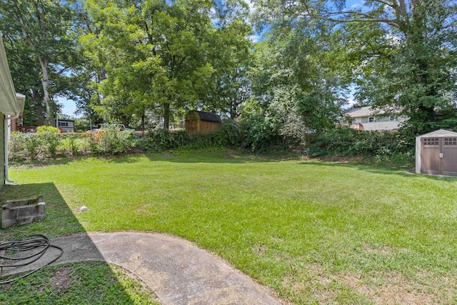 view of yard featuring a shed