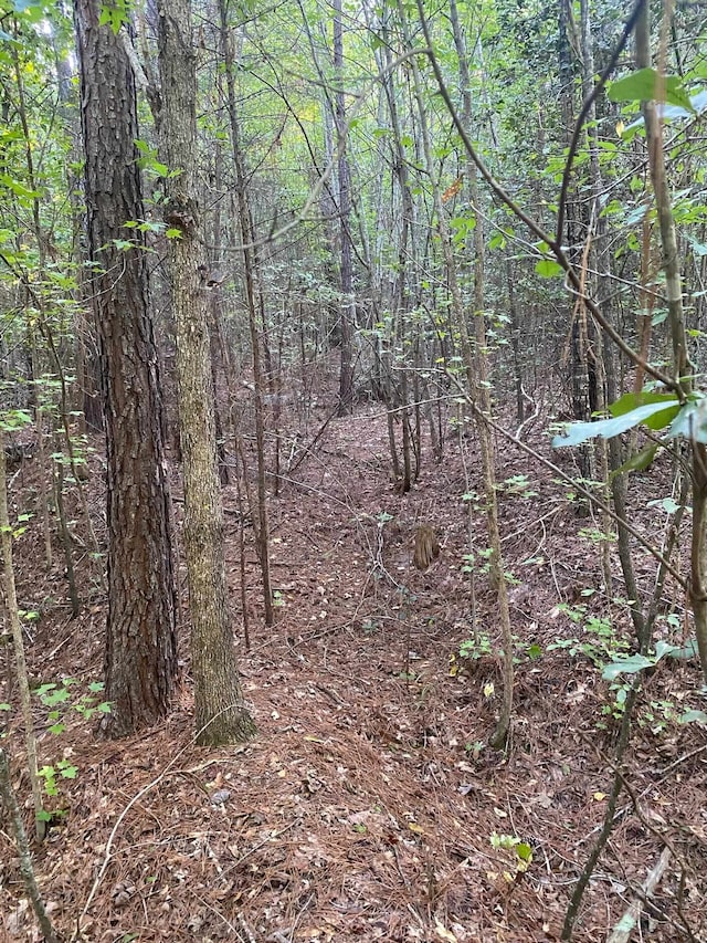 0 Frontier, Enoree SC, 29335 land for sale