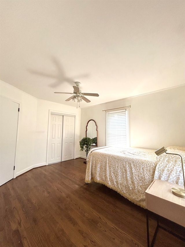 bedroom with a closet, ceiling fan, and dark hardwood / wood-style flooring