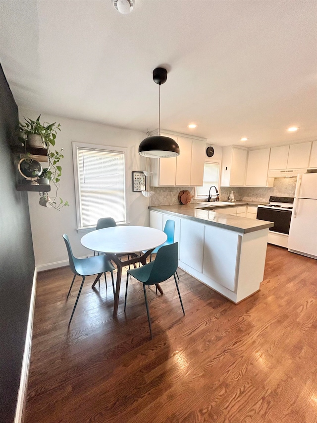 dining room featuring sink and wood-type flooring