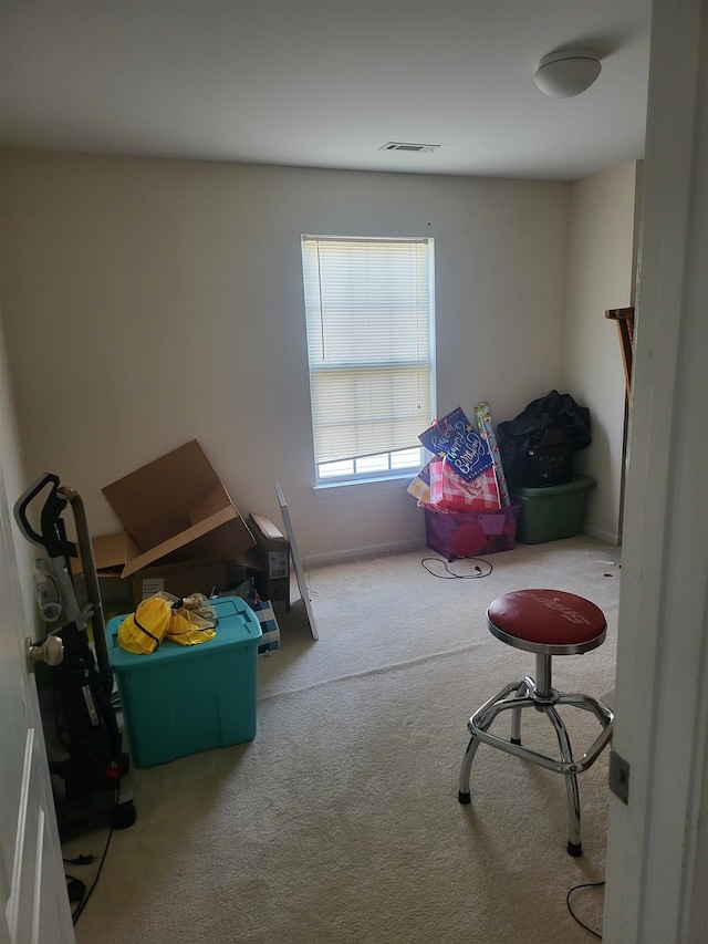 miscellaneous room featuring carpet flooring