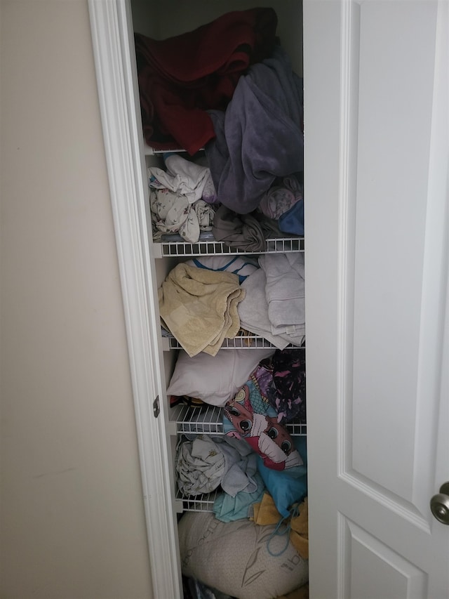 view of closet