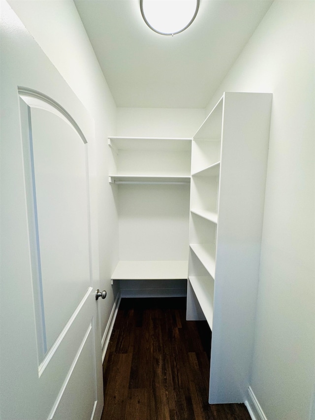 walk in closet with dark hardwood / wood-style floors