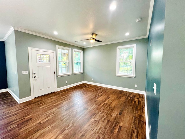 entrance foyer featuring crown molding, ceiling fan, and dark hardwood / wood-style floors