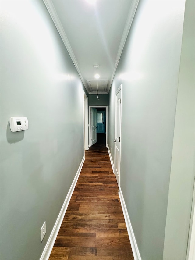 hallway featuring dark hardwood / wood-style flooring and ornamental molding