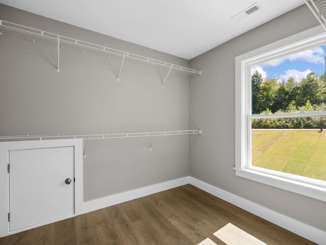 spacious closet with hardwood / wood-style flooring