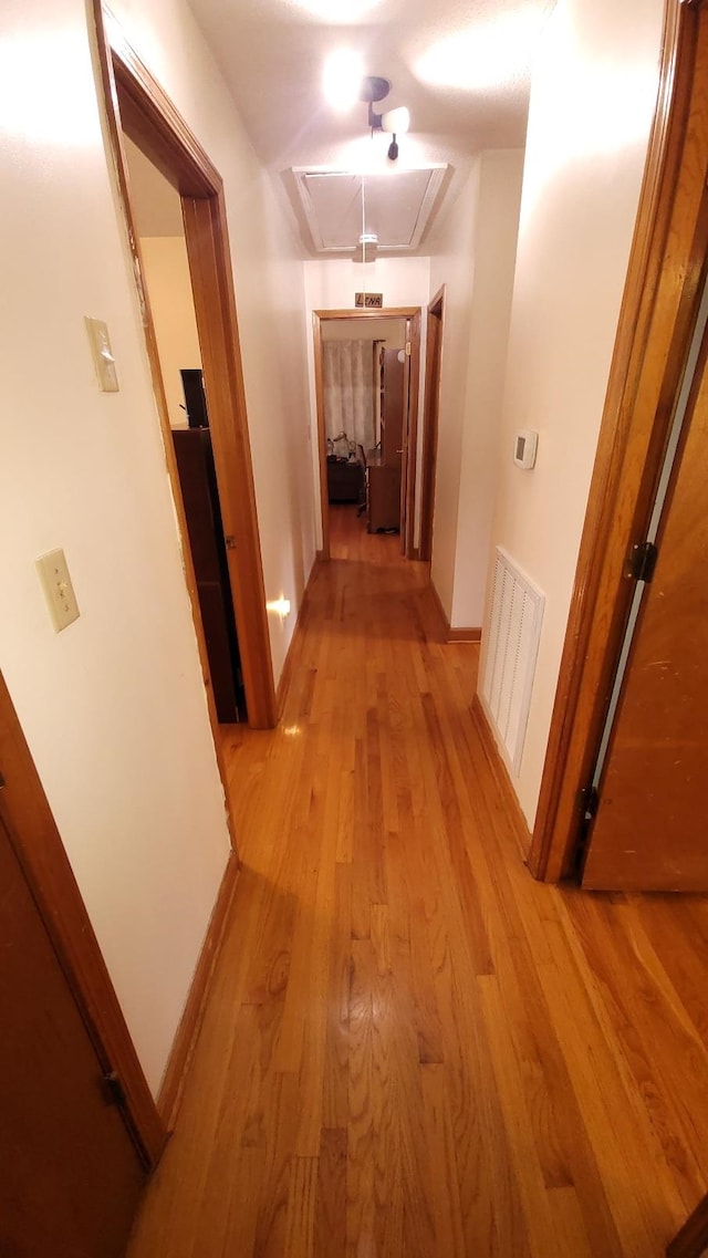 hall with baseboards, visible vents, attic access, and light wood-style floors