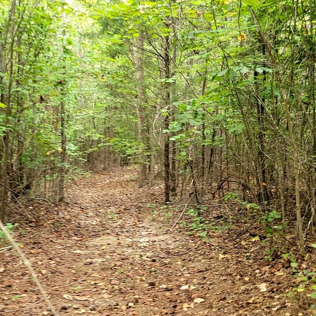 view of nature featuring a wooded view