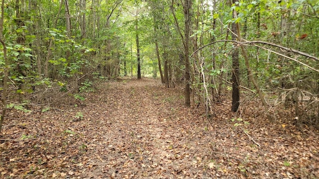 view of landscape featuring a wooded view