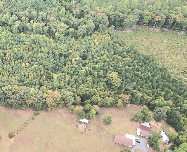 bird's eye view with a forest view