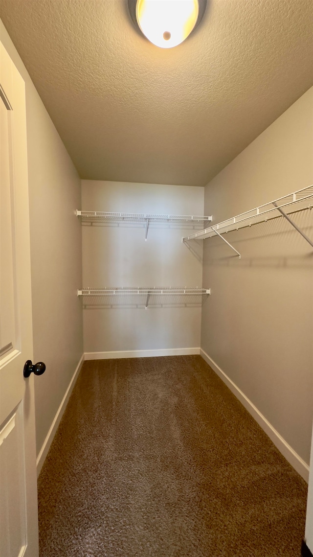 walk in closet with carpet