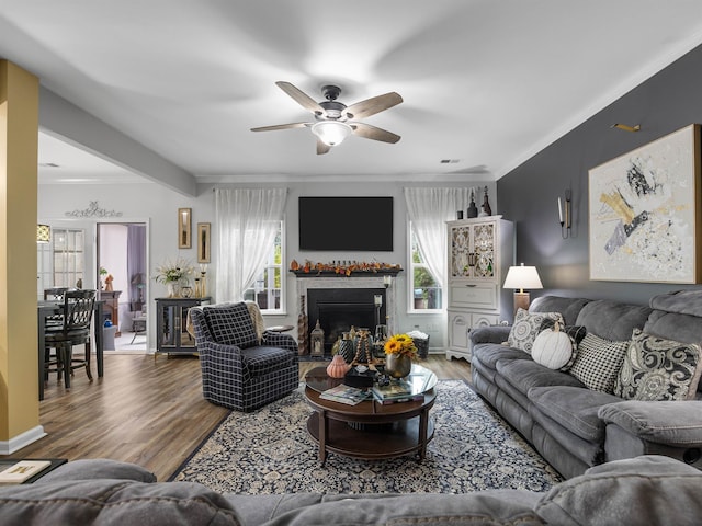 living room with ceiling fan, ornamental molding, and wood-type flooring