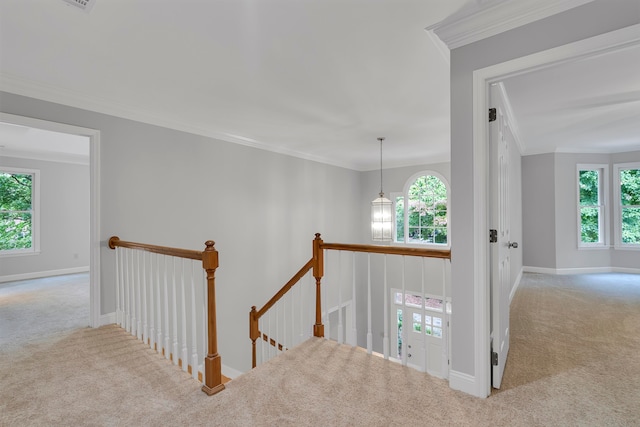 stairs with plenty of natural light, carpet floors, and ornamental molding