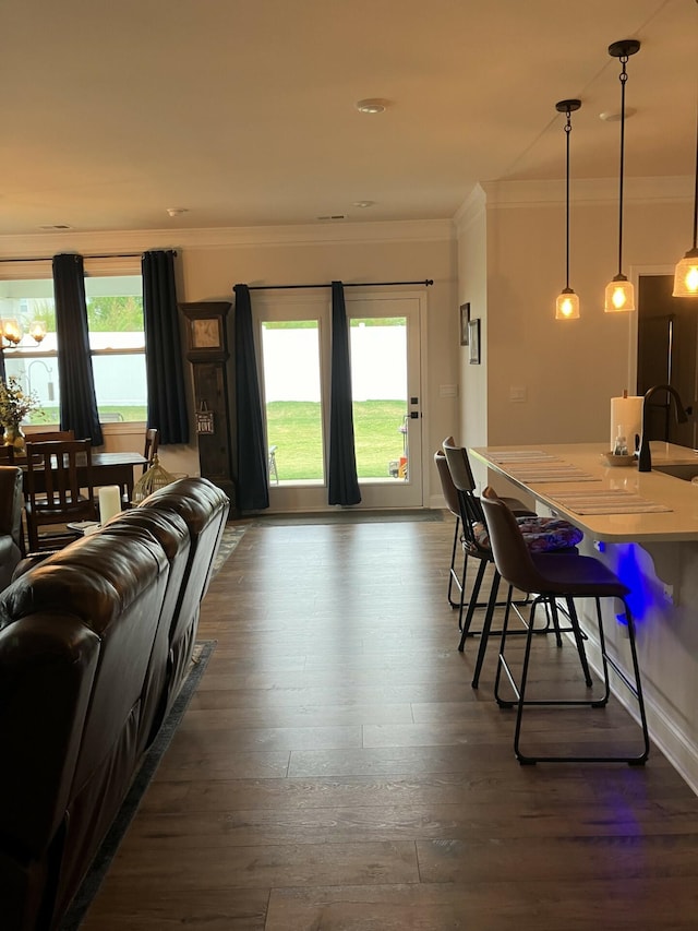 dining area featuring ornamental molding, dark wood-type flooring, and sink