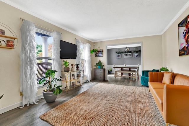 living room with crown molding and dark hardwood / wood-style flooring