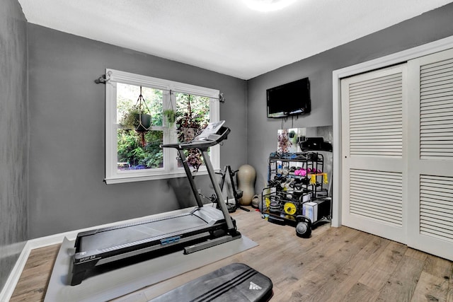 exercise area with light hardwood / wood-style flooring