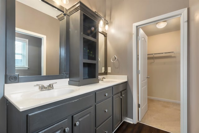 bathroom with wood-type flooring and vanity