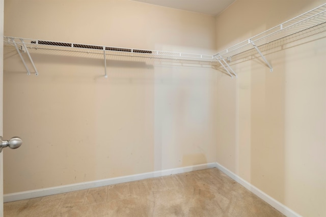 spacious closet featuring carpet floors